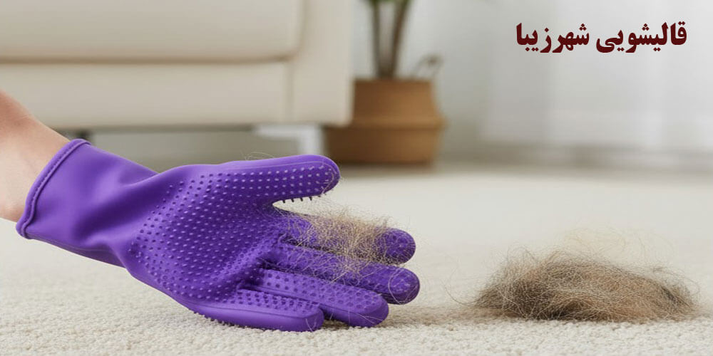 قالیشویی شهرزیبا جدا کردن موی حیوانات با دستکش لاستیکی