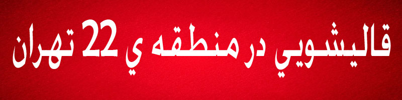 قالیشویی شهرزیبا قالیشویی در منطقه 22 تهران