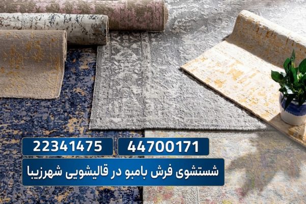 سشتشوی فرش بامبو